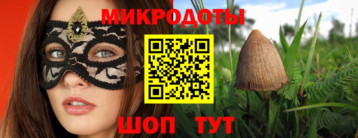 Клин  Галлюциногенные грибы Cubensis  Вход с VPN 